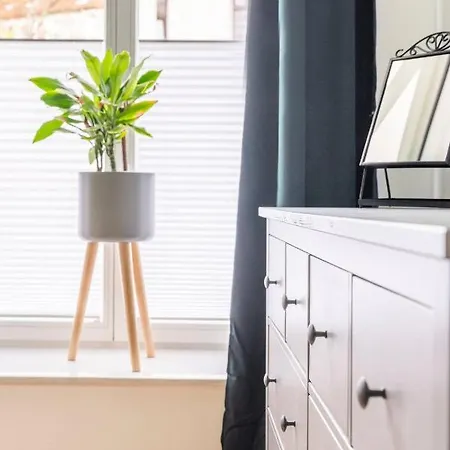 Cozy 2-raumwohnung In Zentrumsnaehe Leipzig